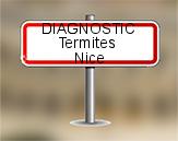 Diagnostic Termite AC Environnement  à Nice